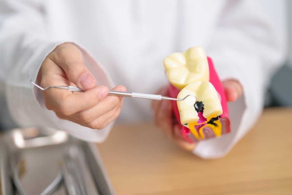 Why Preventive Dental Care is Important for Families